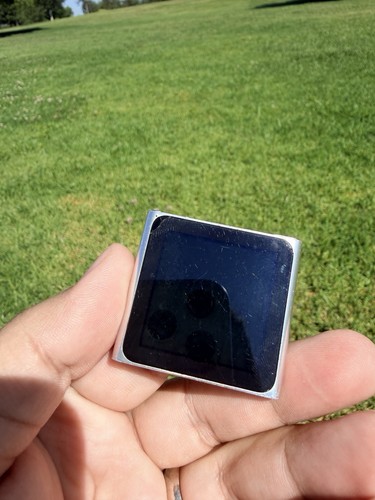Apple ipod nano - apple, 8gb